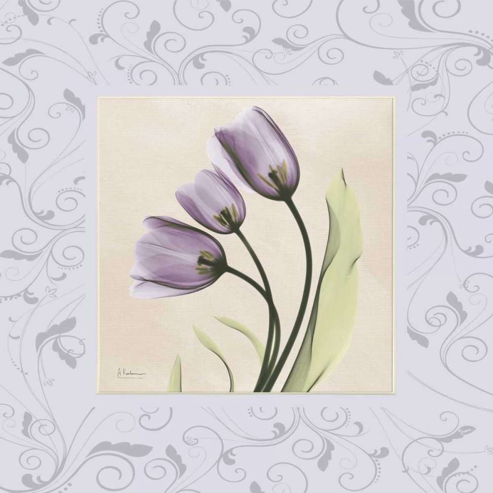 Purple Tulips on Purple Damask art print by Albert Koetsier for $57.95 CAD