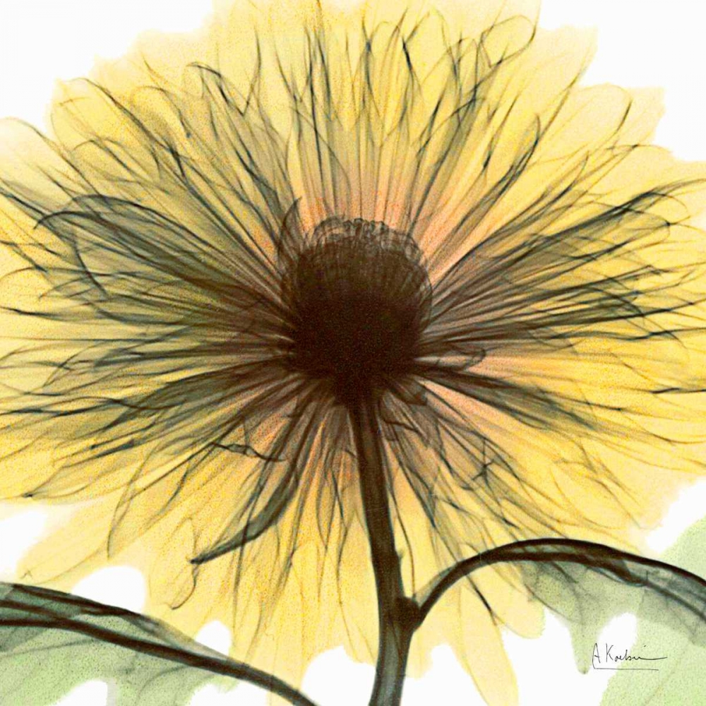 Dream in Yellow art print by Albert Koetsier for $57.95 CAD