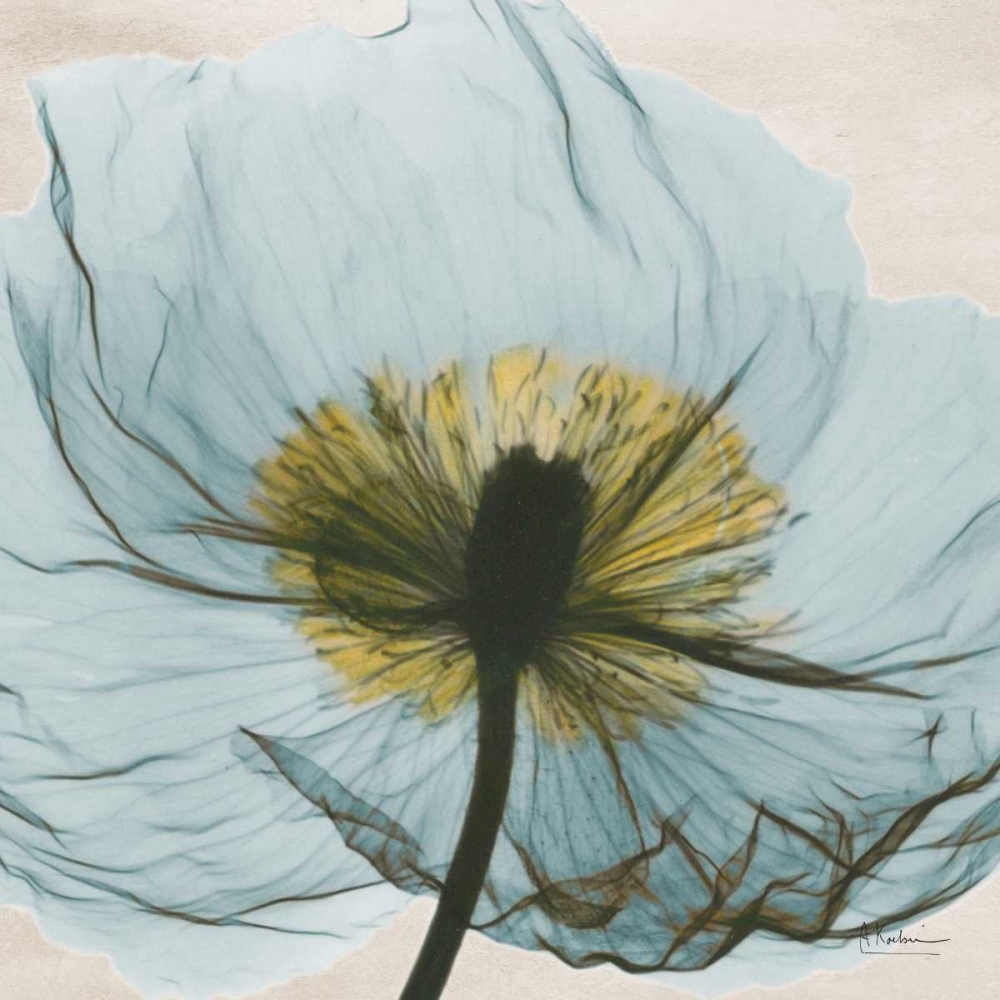 Dream in Pale  Blue art print by Albert Koetsier for $57.95 CAD
