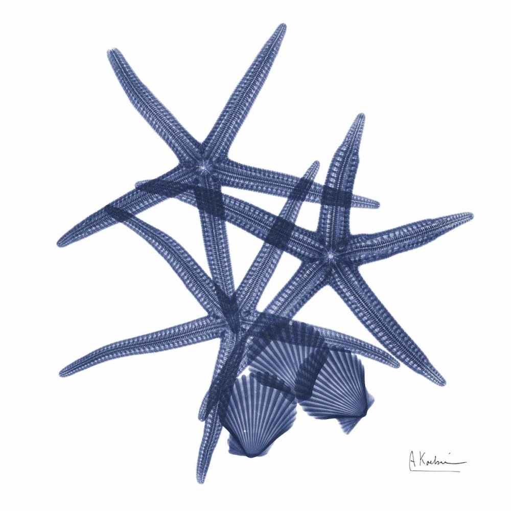 Sea Life in Blue art print by Albert Koetsier for $57.95 CAD