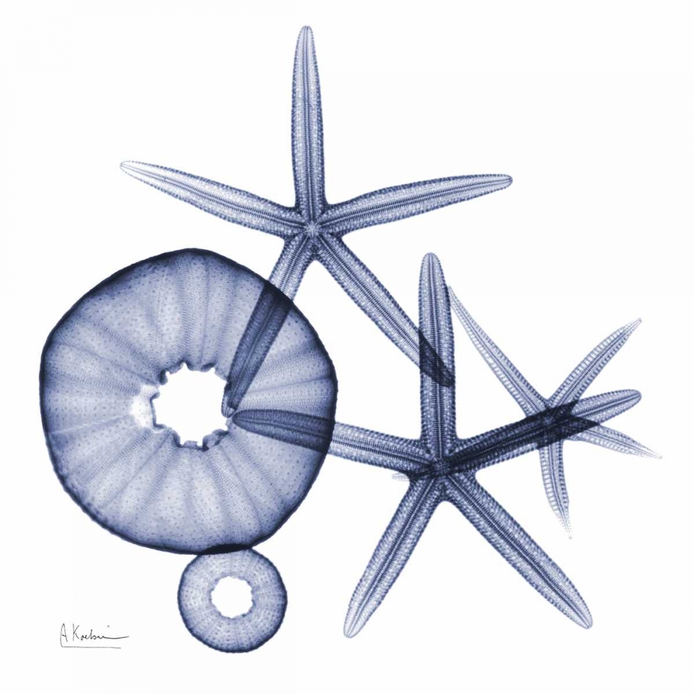 Sea Life in Blue 2 art print by Albert Koetsier for $57.95 CAD