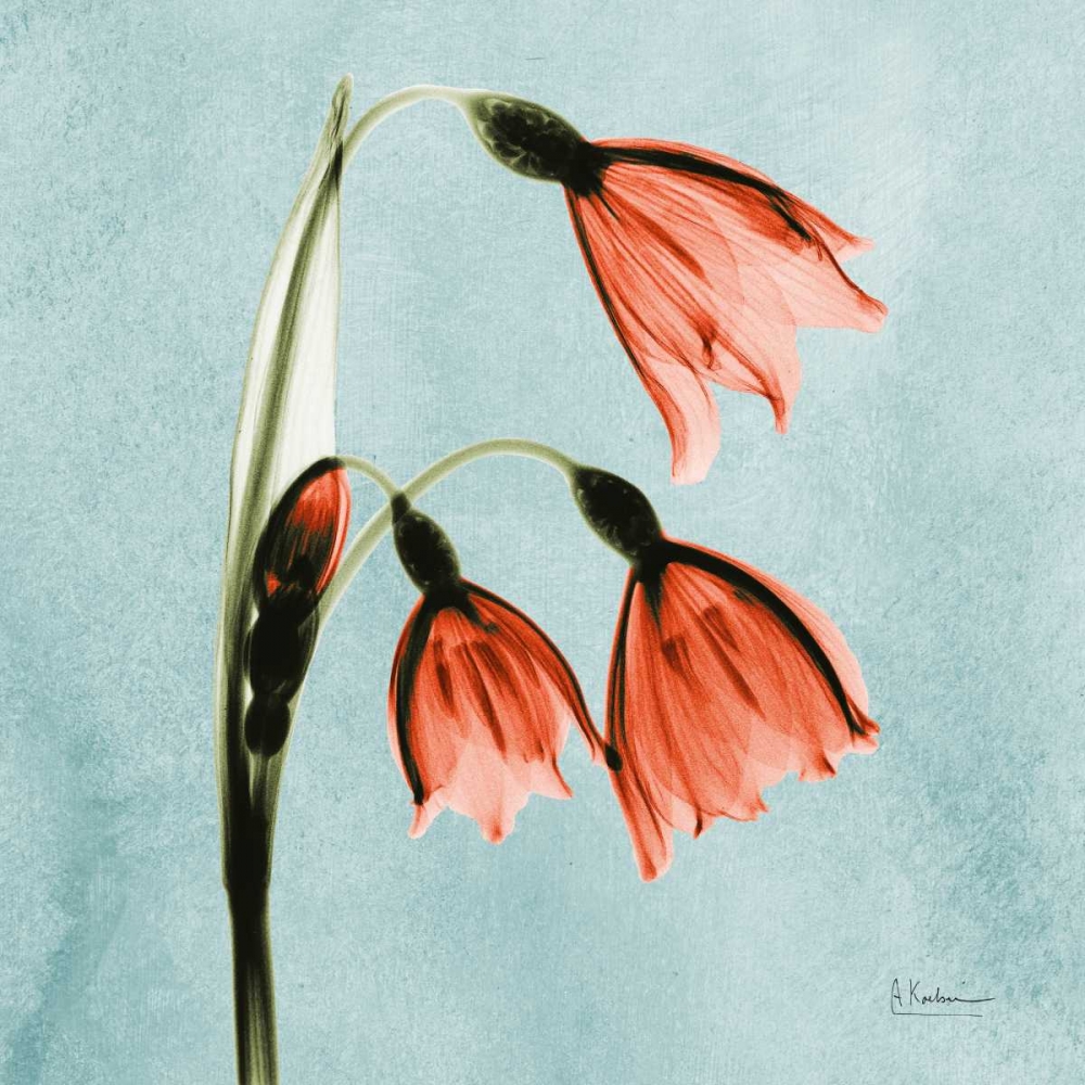 Snow Drop Faith_MAT art print by Albert Koetsier for $57.95 CAD