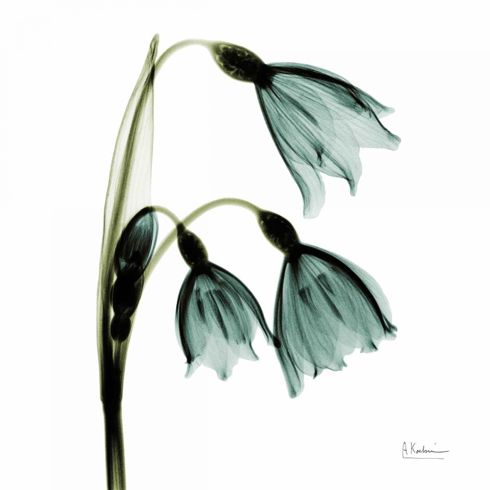 Three Tulips in Green art print by Albert Koetsier for $57.95 CAD