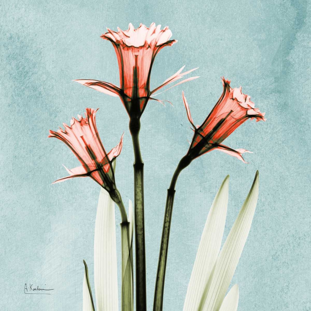 Daffodil Believe art print by Albert Koetsier for $57.95 CAD