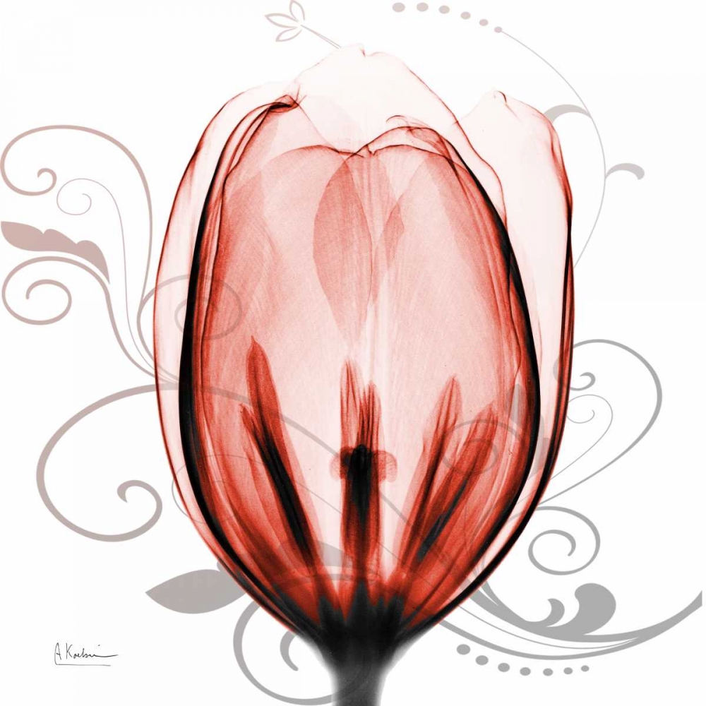Happy Tulip in Red art print by Albert Koetsier for $57.95 CAD