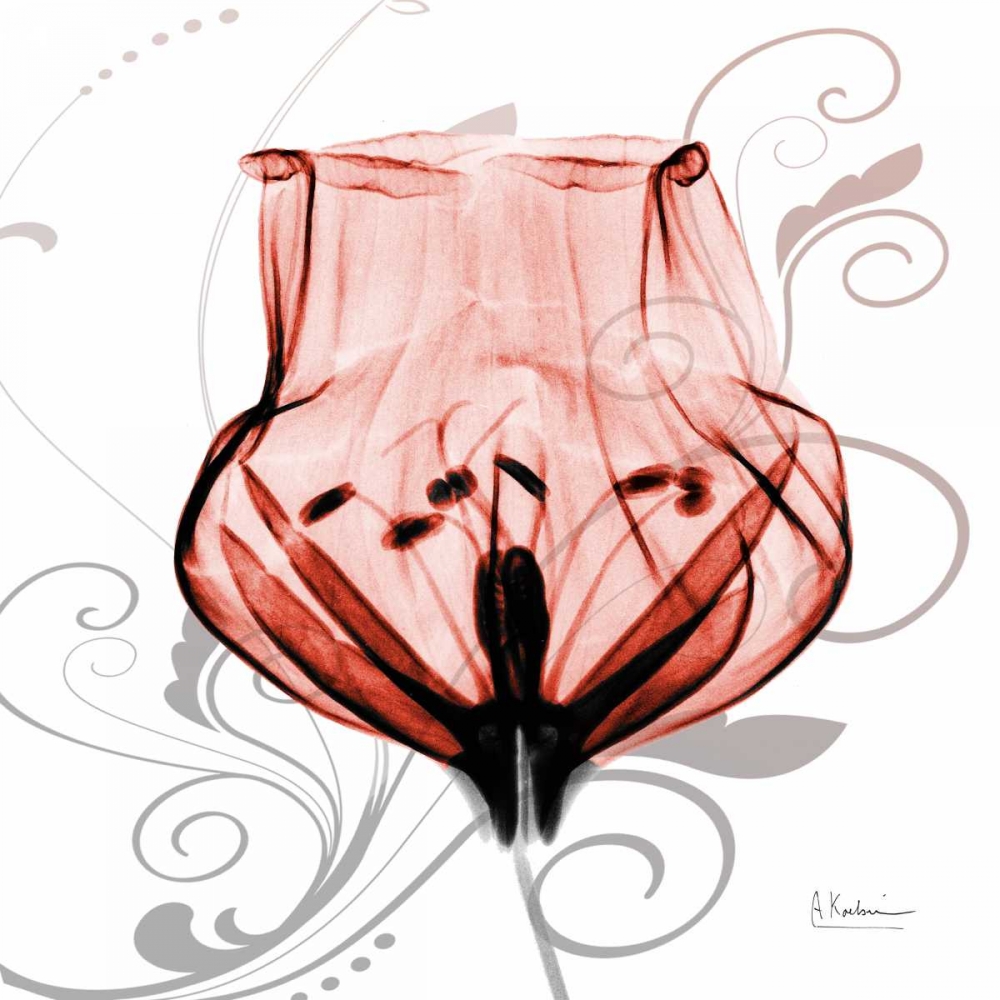 Dancing Tulip in Red art print by Albert Koetsier for $57.95 CAD