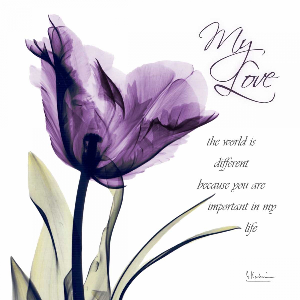 My Love - Purple Tulip art print by Albert Koetsier for $57.95 CAD