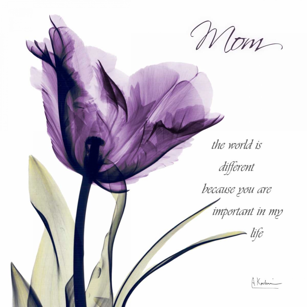 Mom - Purple Tulip art print by Albert Koetsier for $57.95 CAD