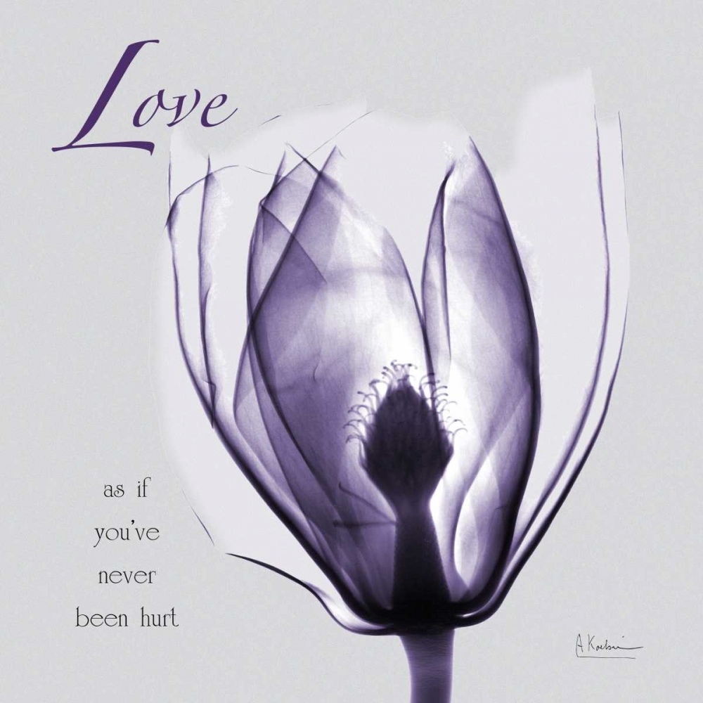 Plum Magnolia Love art print by Albert Koetsier for $57.95 CAD