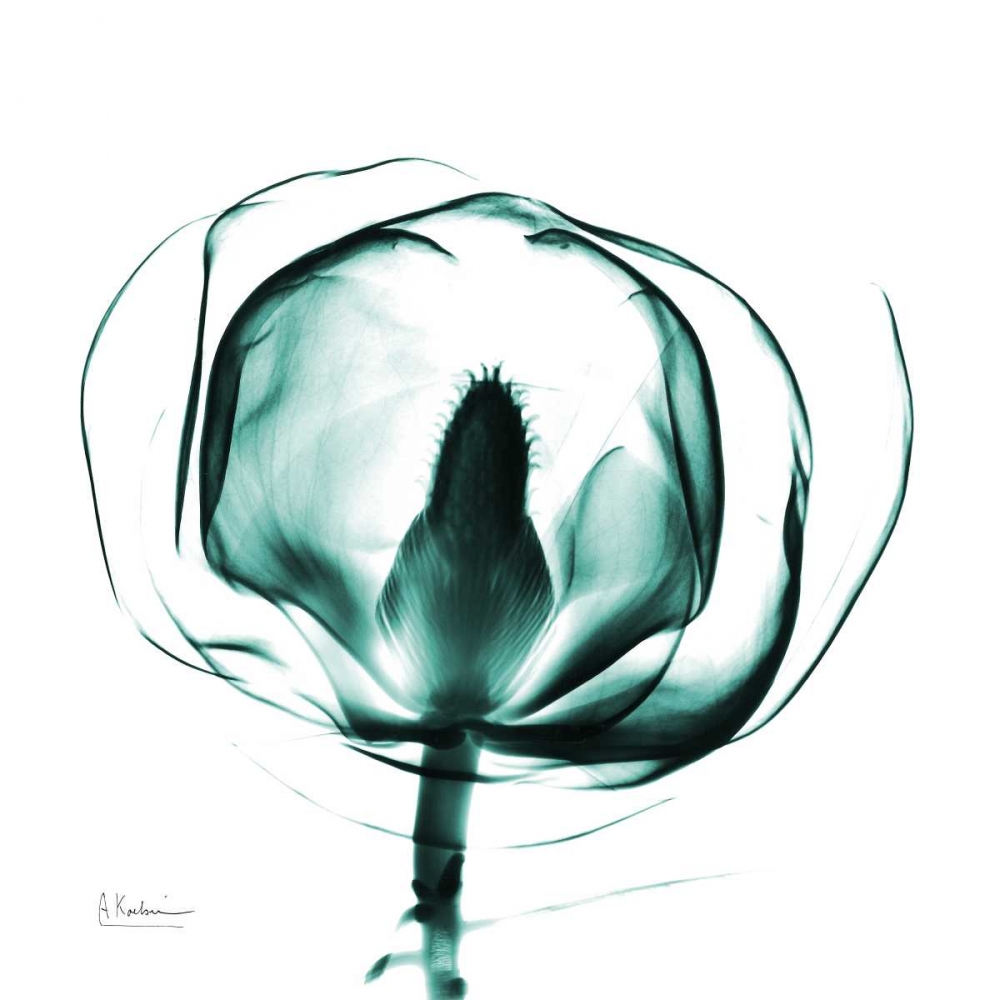 Gracious Green Bulb art print by Albert Koetsier for $57.95 CAD