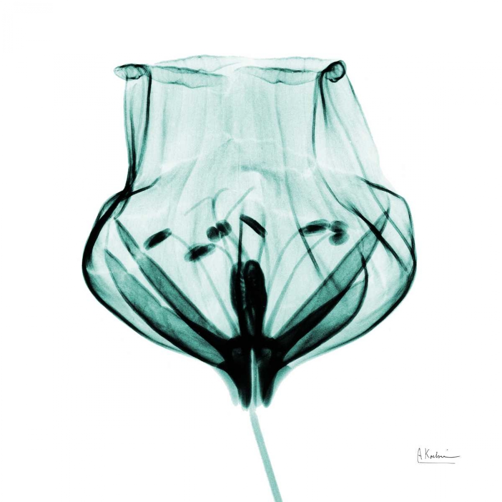 Gracious Green Bulb 2 art print by Albert Koetsier for $57.95 CAD