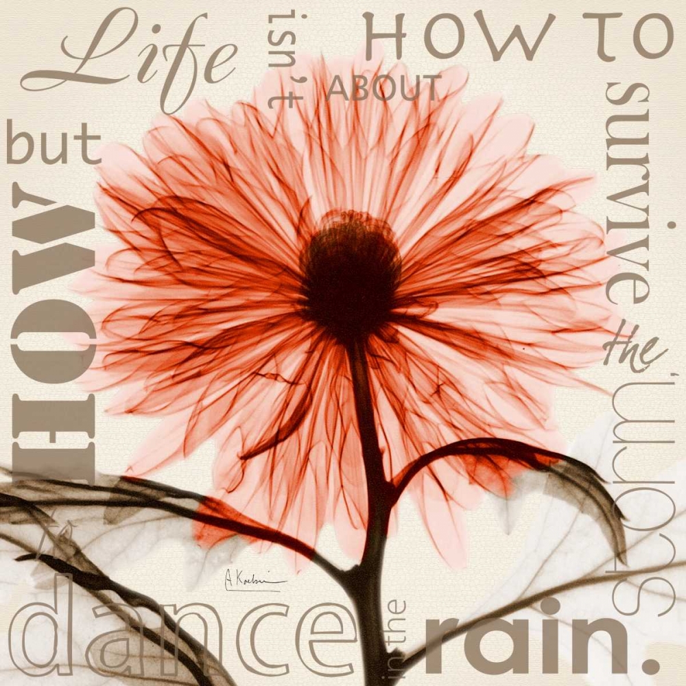 Chrysanthemum Life art print by Albert Koetsier for $57.95 CAD