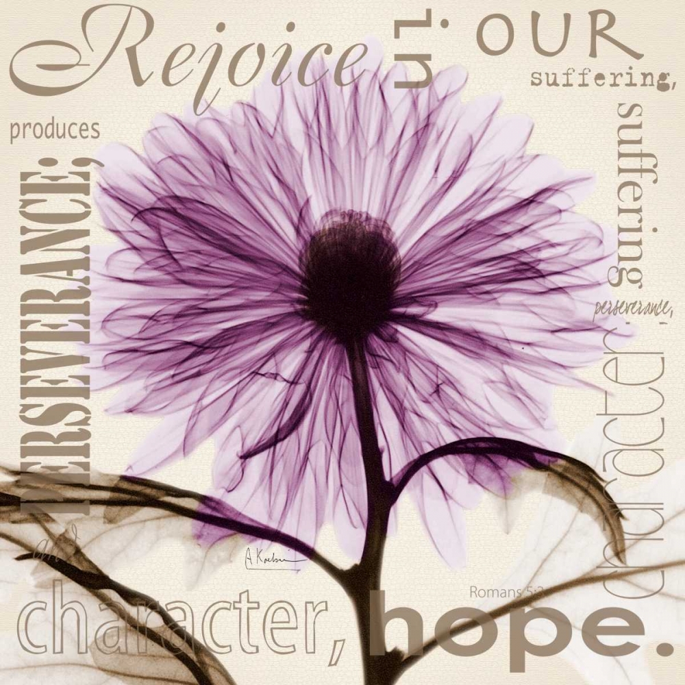 Rejoice - Violet Chrysanthemum art print by Albert Koetsier for $57.95 CAD