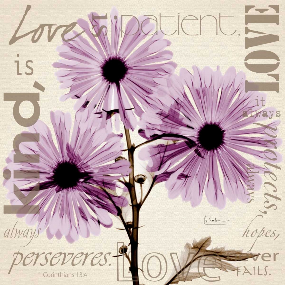 Love - Violet Chrysanthemum art print by Albert Koetsier for $57.95 CAD