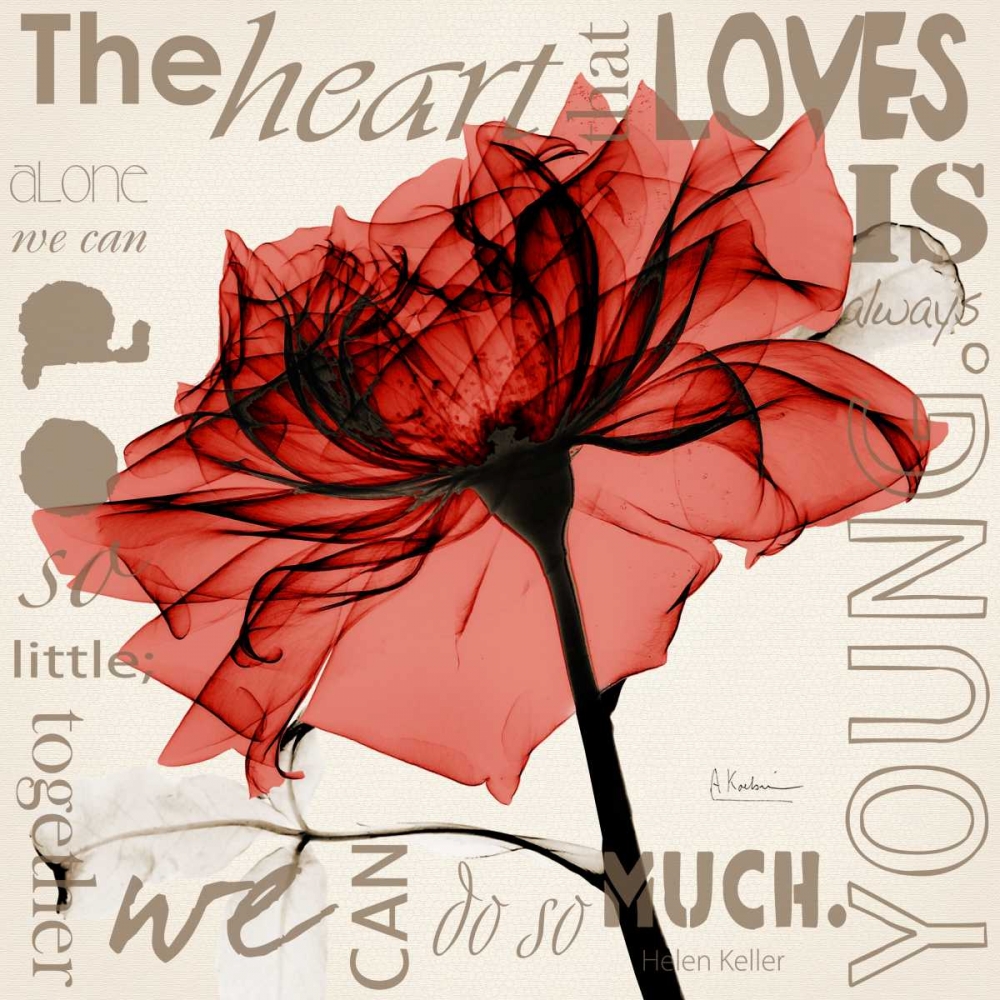 Red Rose Love art print by Albert Koetsier for $57.95 CAD