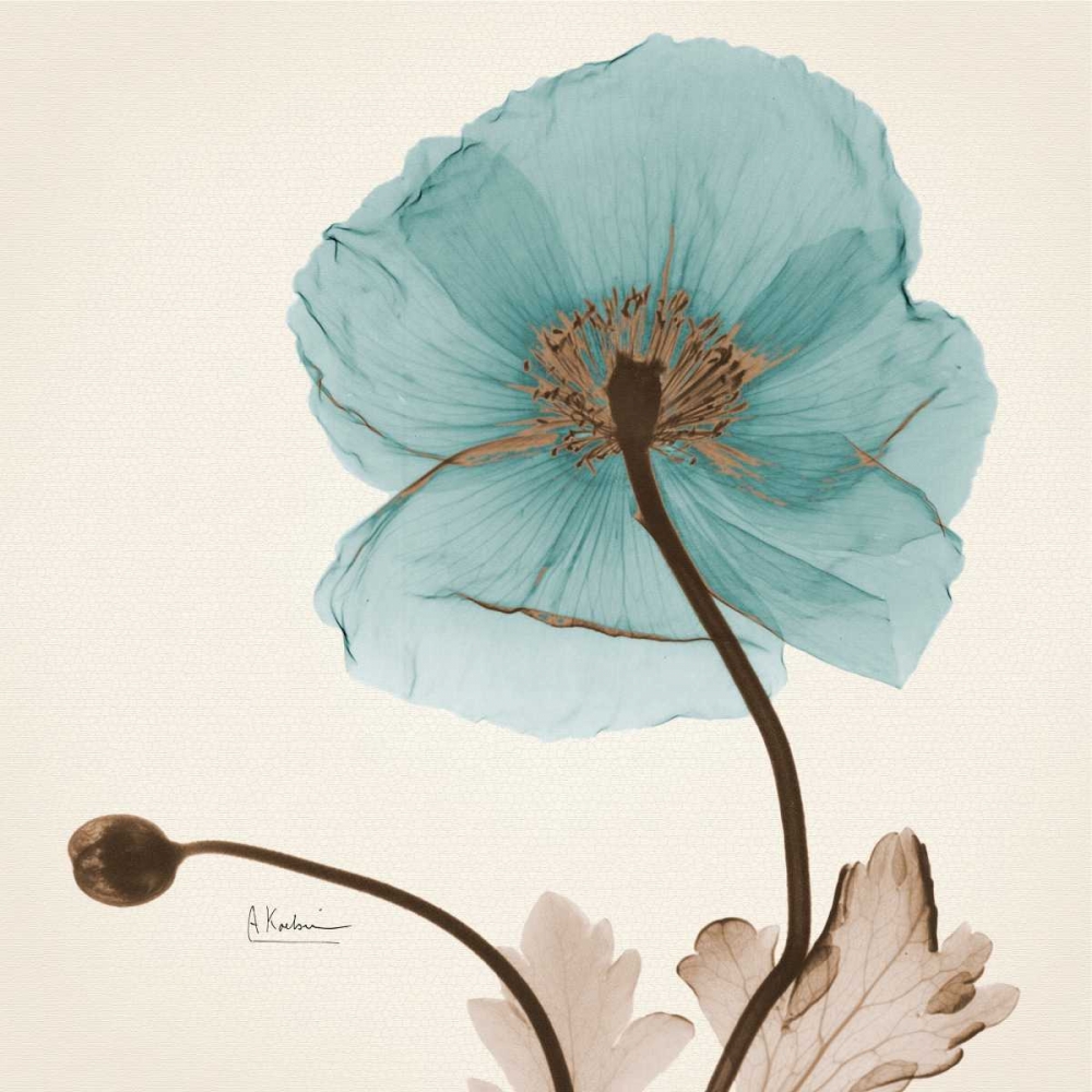 Iceland Poppy Believe art print by Albert Koetsier for $57.95 CAD