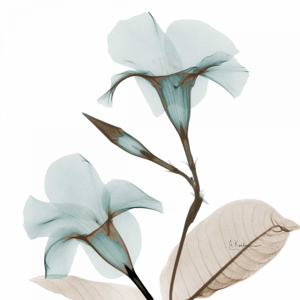 Mandelilla Blues art print by Albert Koetsier for $57.95 CAD