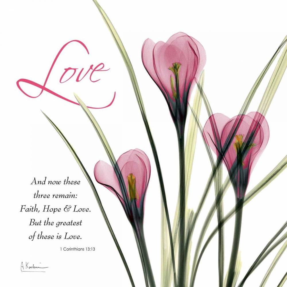 loveCrocusC37 art print by Albert Koetsier for $57.95 CAD