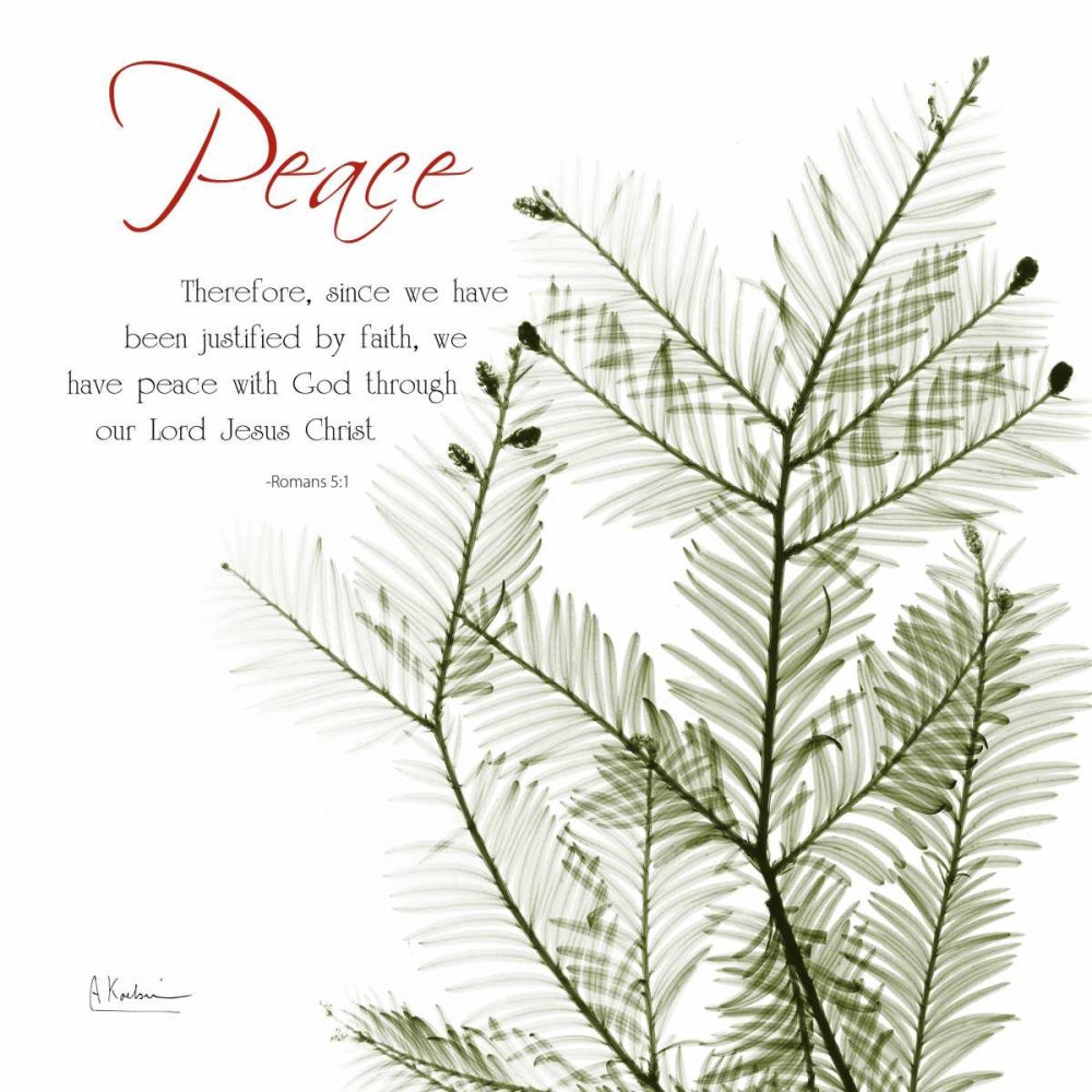 XmasEvergreen art print by Albert Koetsier for $57.95 CAD