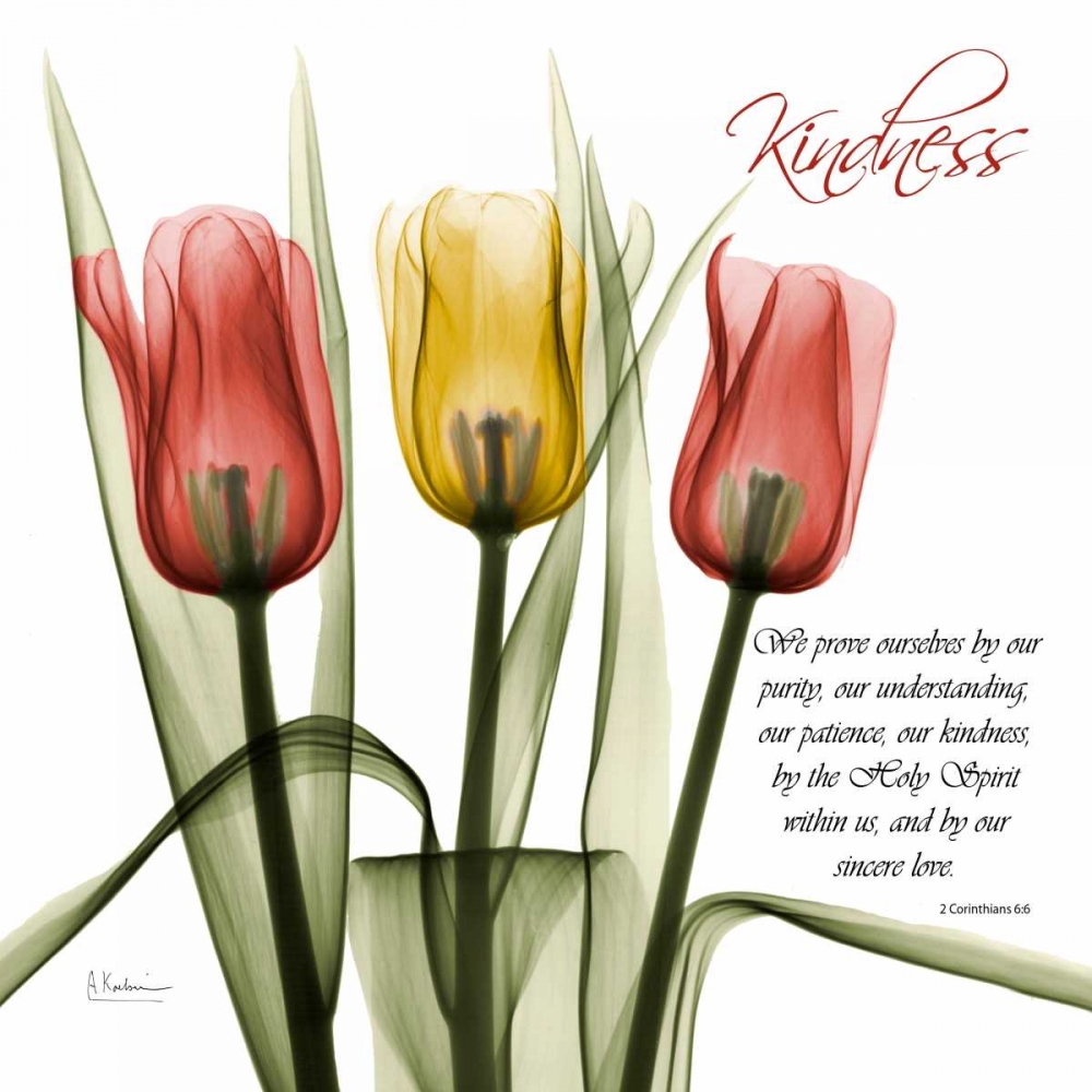 tulipsKindness art print by Albert Koetsier for $57.95 CAD