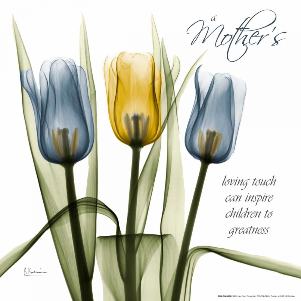 Tulips Kindness art print by Albert Koetsier for $57.95 CAD