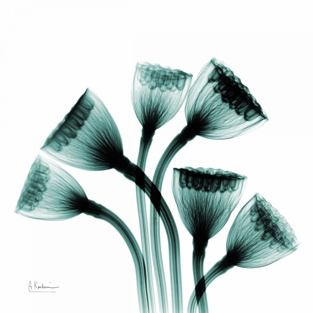 lamps art print by Albert Koetsier for $57.95 CAD
