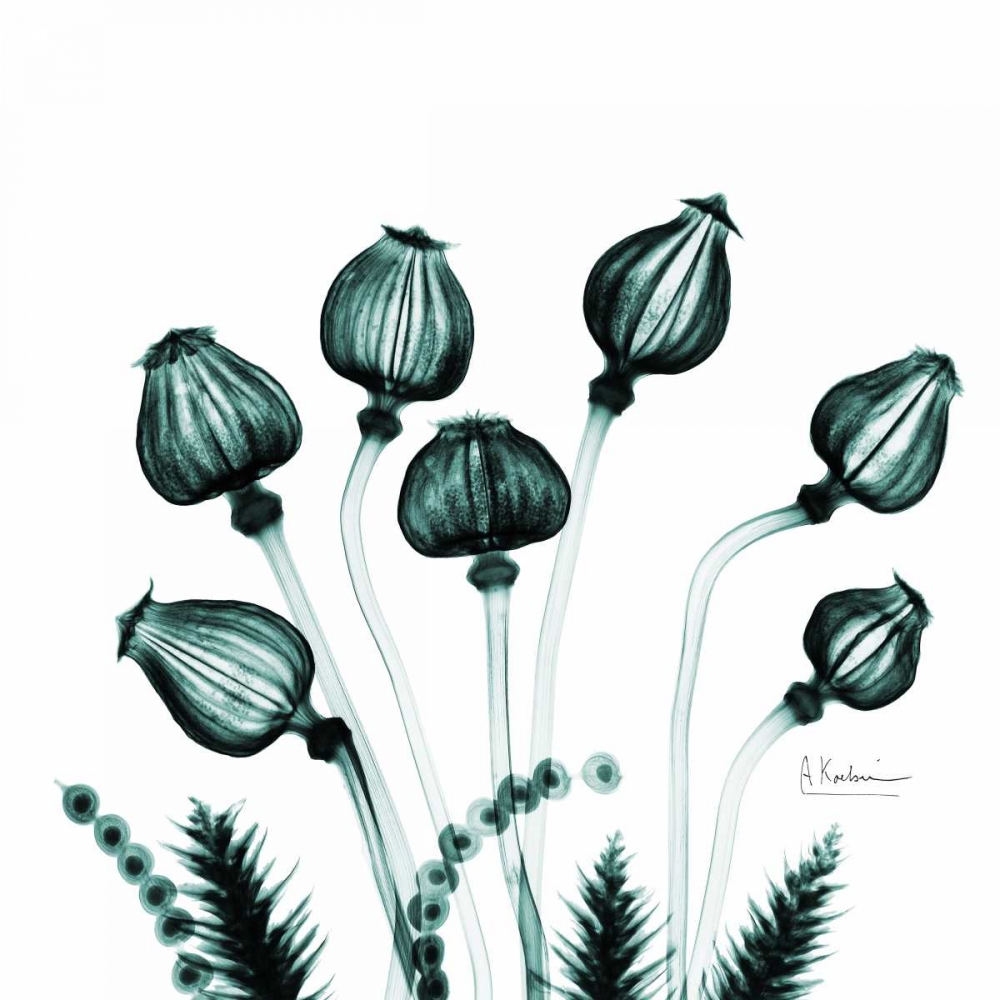 chineseLantern art print by Albert Koetsier for $57.95 CAD