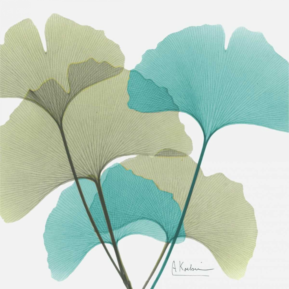 Gingko 1 art print by Albert Koetsier for $57.95 CAD