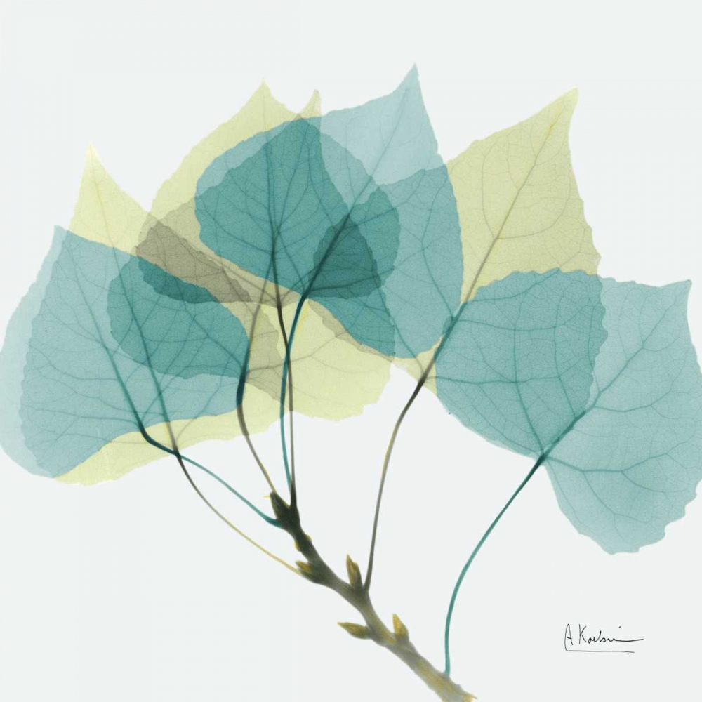 Aspen E143 art print by Albert Koetsier for $57.95 CAD