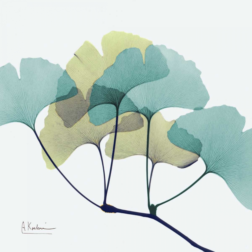 Gingko L140 art print by Albert Koetsier for $57.95 CAD