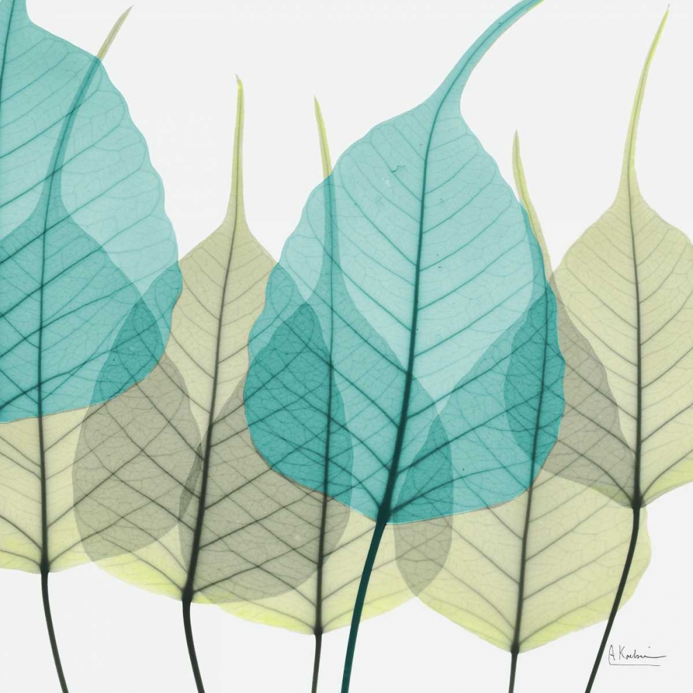 Bodhi Tree art print by Albert Koetsier for $57.95 CAD