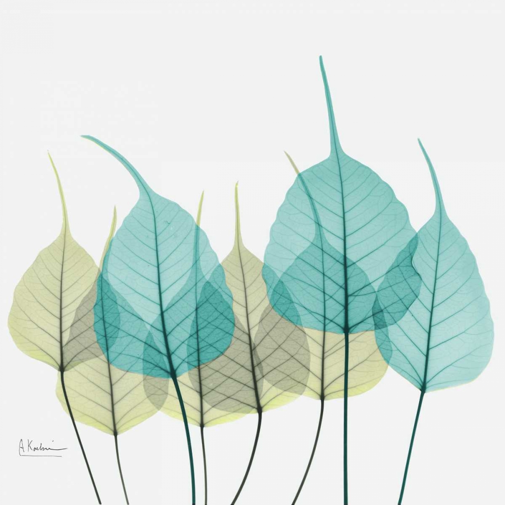 Bodhi Tree art print by Albert Koetsier for $57.95 CAD