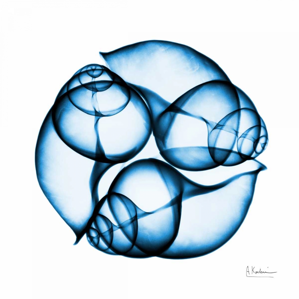 Electric Blue Moonsnails 2 art print by Albert Koetsier for $57.95 CAD