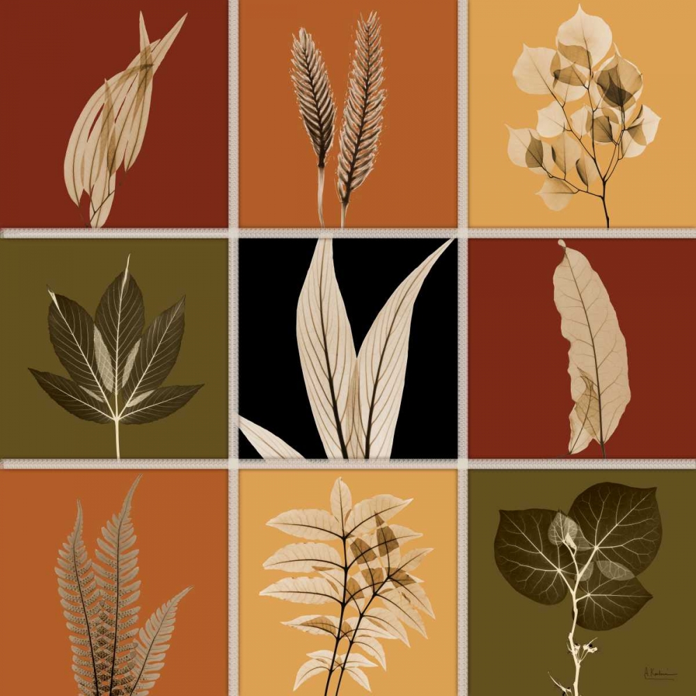 Harvest 9 patch 1 art print by Albert Koetsier for $57.95 CAD