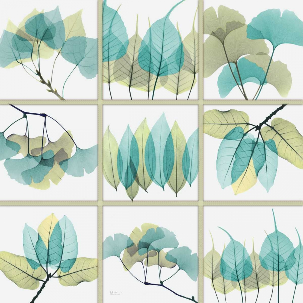 Citrus Leaves SC art print by Albert Koetsier for $57.95 CAD