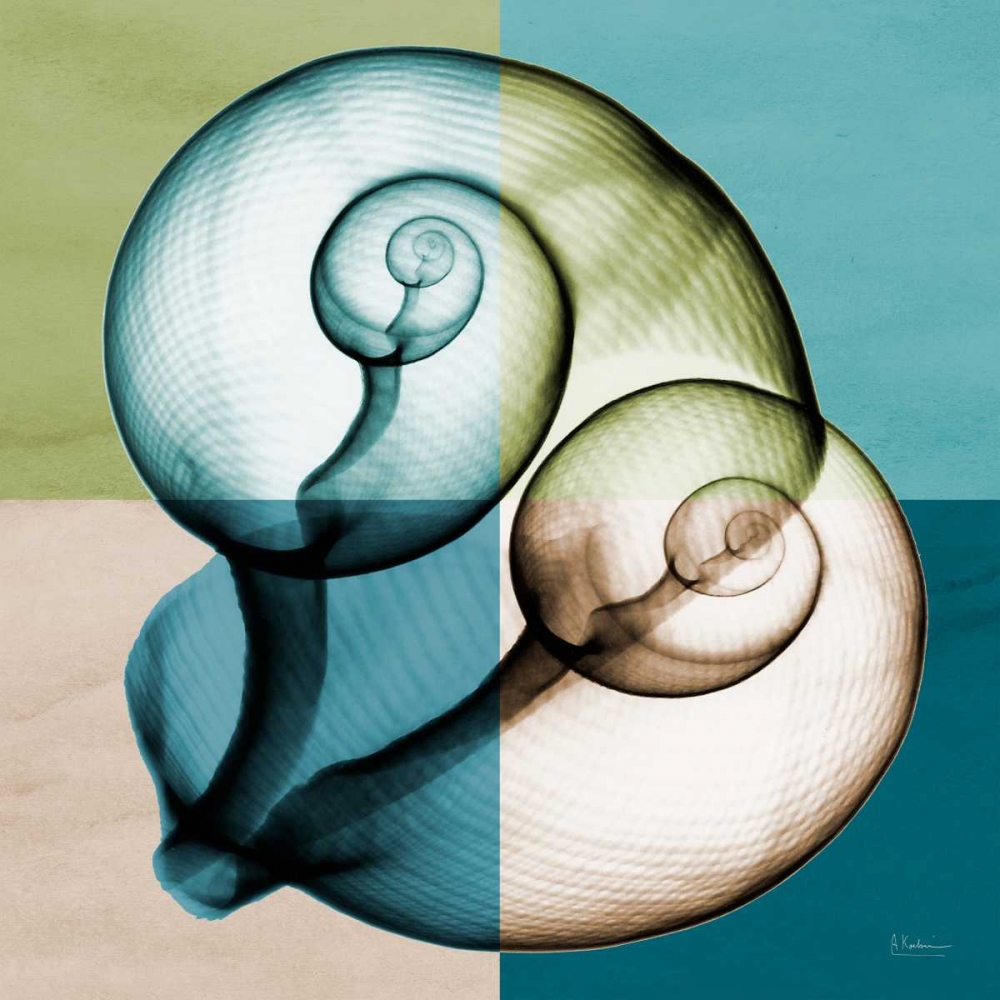 Blue Green Shell 1 art print by Albert Koetsier for $57.95 CAD