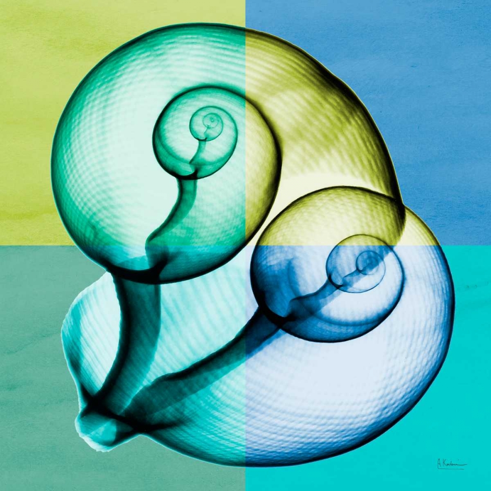 Blue Green Shell 1 art print by Albert Koetsier for $57.95 CAD