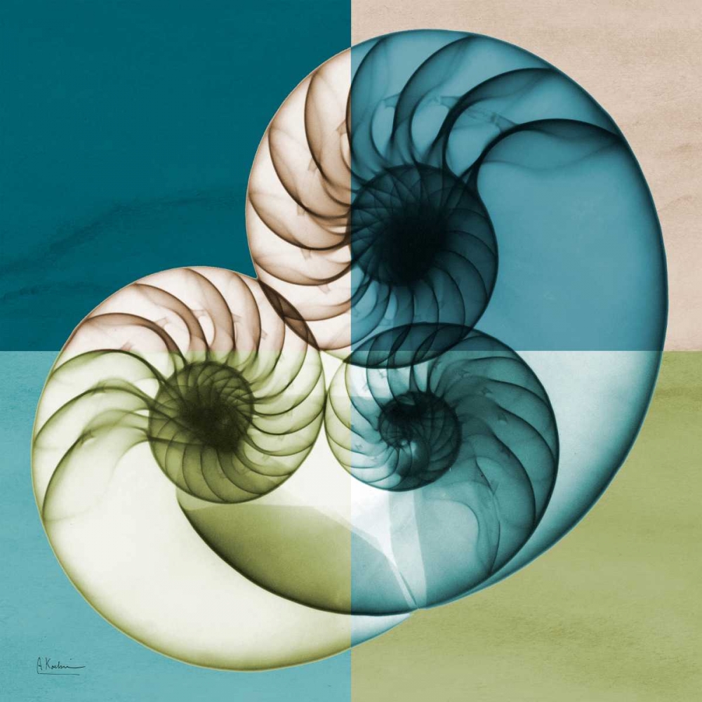 Blue Green Shell 2 art print by Albert Koetsier for $57.95 CAD