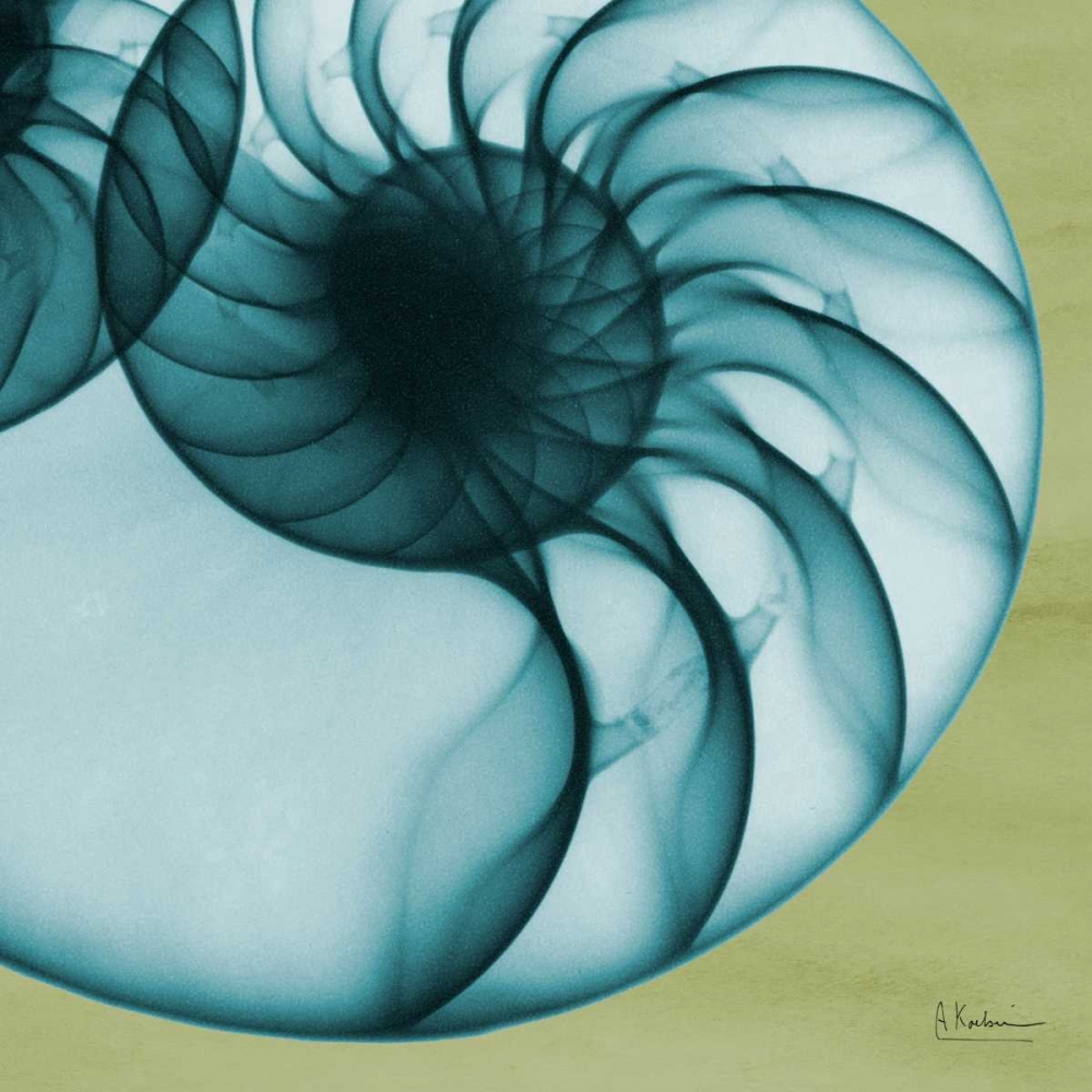 Neon Nautilus art print by Albert Koetsier for $57.95 CAD