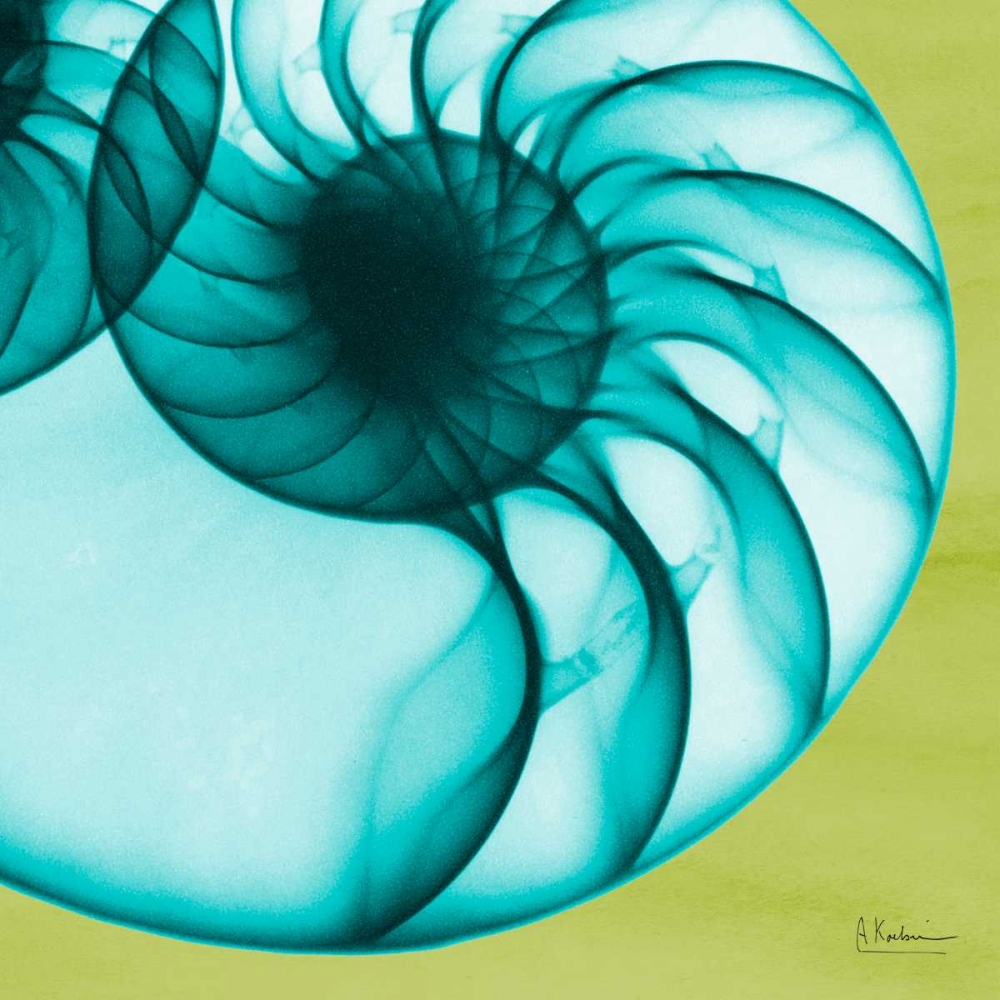 Neon Nautilus art print by Albert Koetsier for $57.95 CAD