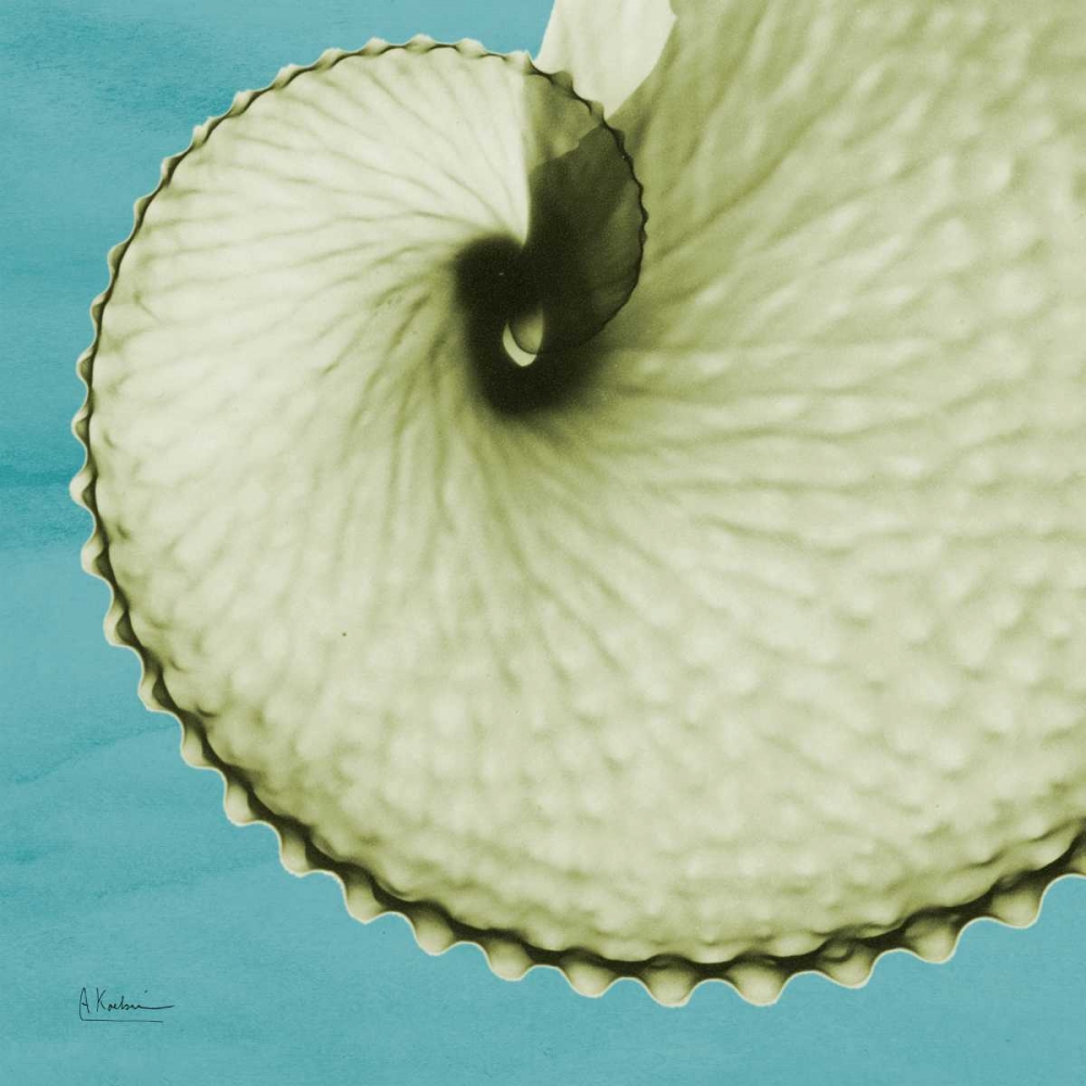 Argonaut art print by Albert Koetsier for $57.95 CAD