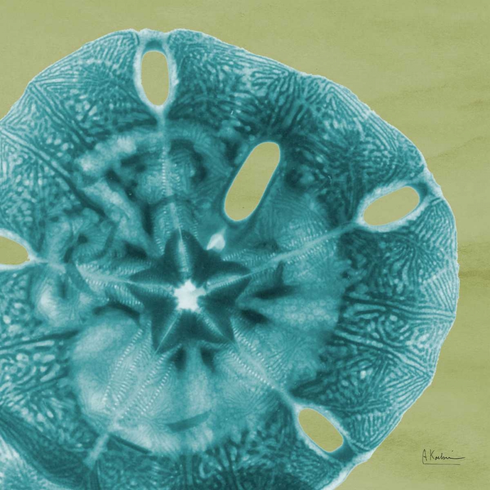Sand Dollar art print by Albert Koetsier for $57.95 CAD