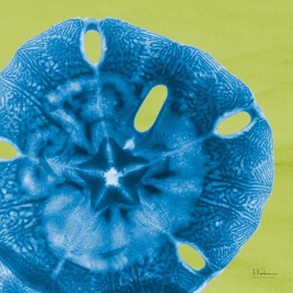 Sand Dollar art print by Albert Koetsier for $57.95 CAD