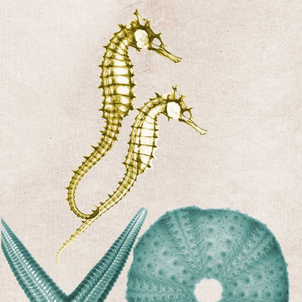 Under The Sea 1 art print by Albert Koetsier for $57.95 CAD
