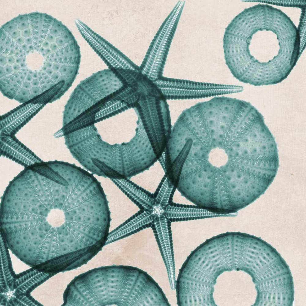 Under The Sea 3 art print by Albert Koetsier for $57.95 CAD
