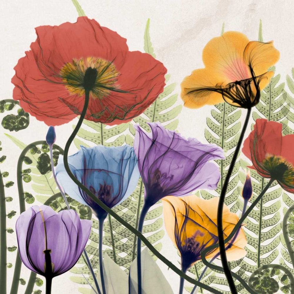 Flowers And Ferns art print by Albert Koetsier for $57.95 CAD