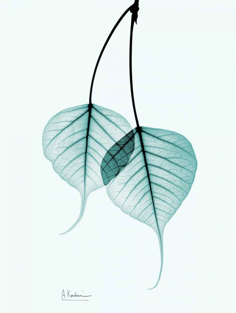 Bodhi Tree Teal art print by Albert Koetsier for $57.95 CAD