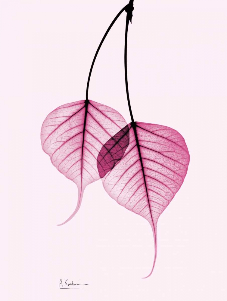 Bodhi Tree Pink art print by Albert Koetsier for $57.95 CAD