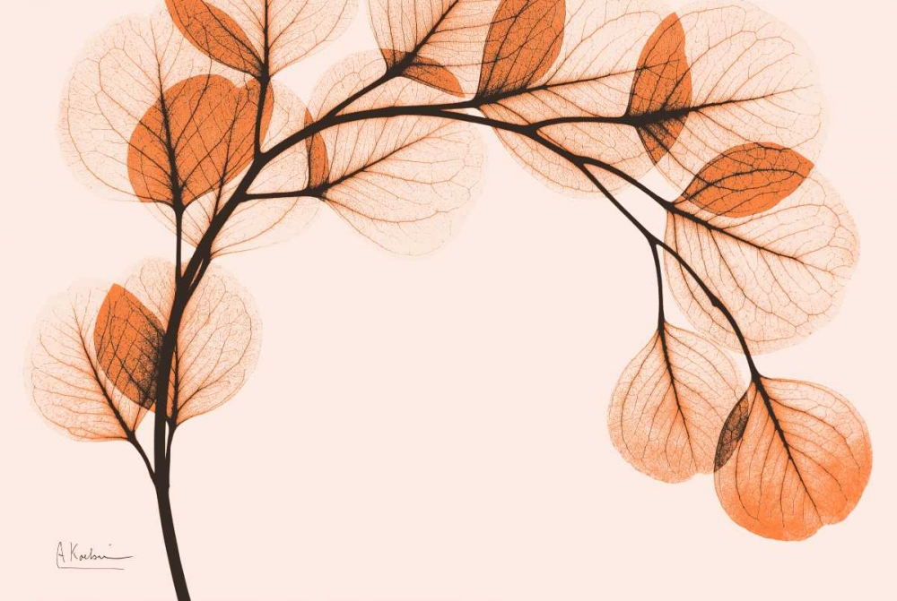 Orange Eucalyptus art print by Albert Koetsier for $57.95 CAD
