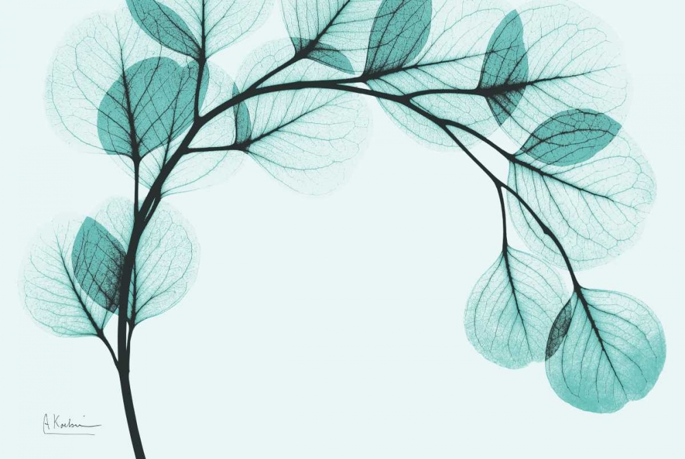 Teal Eucalyptus art print by Albert Koetsier for $57.95 CAD